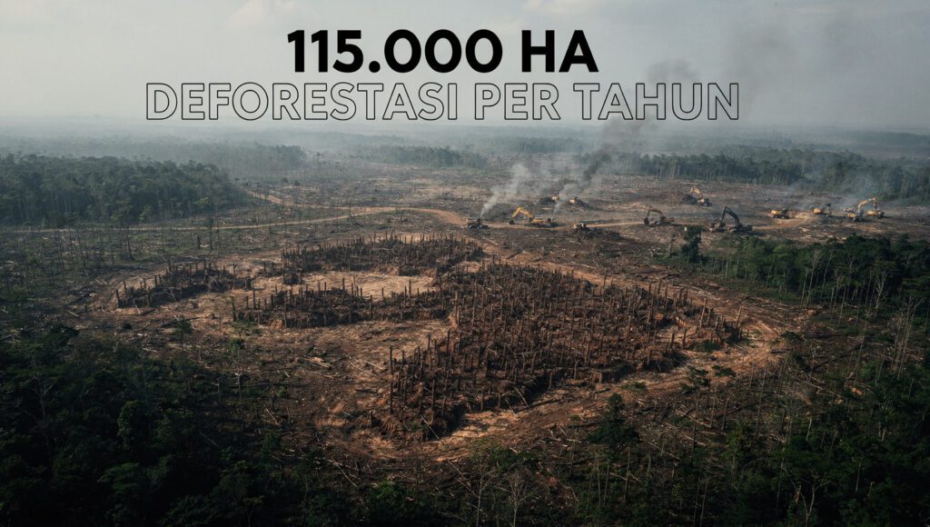 Ijtihad perubahan iklim tentang deforestasi Indonesia 115 ribu hektare per tahun