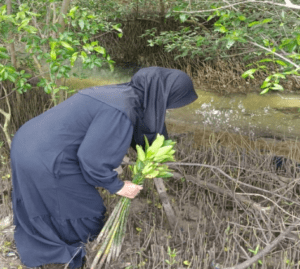 Penanaman Mangrove Sidoarjo: Mahasiswa UNUSIDA Terapkan Aswaja